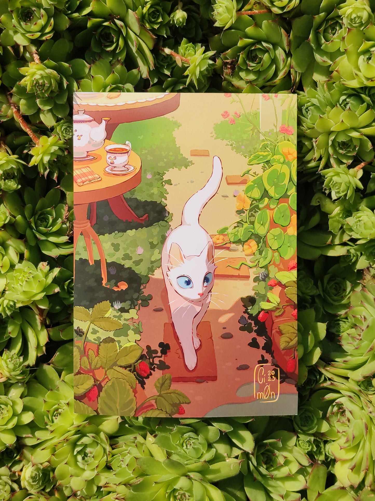 Gatto in Giardino | Stampa 